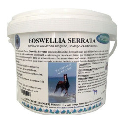 Bonne Boswellia-Serrata articulation chevaux pure poudre 1kg