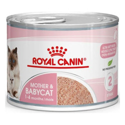 Royal Canin FHN chatte et chaton aliment humide 12x195gr