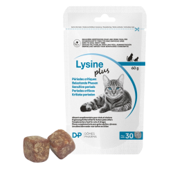 Dômes Pharma Lysine Plus 30 comprimés