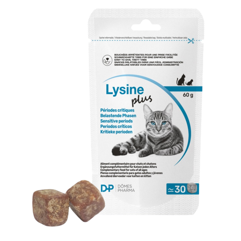 Dômes Pharma Lysine Plus 30 comprimés