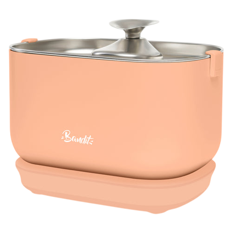 Bandit Fontaine à eau filaire pour chat pêche 2,5L