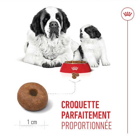 Croquettes chiens et chats